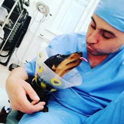 Фото компании ООО Кабинет ветеринарной медицины 3