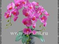 Композиция из искусственных орхидей (силикон) в кашпо из матового стекла http://alrami.ru/composition/orhidei-kompozicia.html
