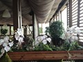 Фото компании  Resto Club, клуб-ресторан 1