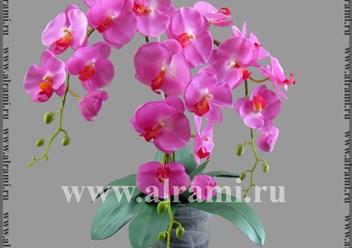 Композиция из искусственных орхидей (силикон) в кашпо из матового стекла http://alrami.ru/composition/orhidei-kompozicia.html