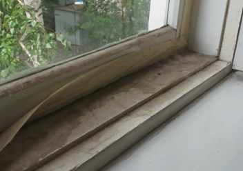 Фото компании  Сияй 6