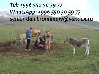 Фото компании  Гид в Кыргызстане 2