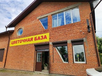 Фото компании ИП ЦветоБар 33