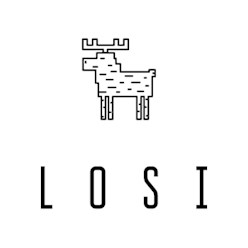 Фото компании  Losi 1