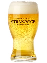 Разливное пиво STRAKOVICE светлое, ПЭТ-кег 20 л.