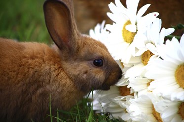 Фото компании ИП Чудесный 2