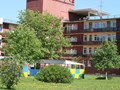 Игровые площадки отделений милосердия
