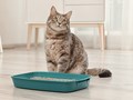Кошачий наполнитель в Озерах. Гипоаллергенный, древесный, без запаха. 15 кг.
