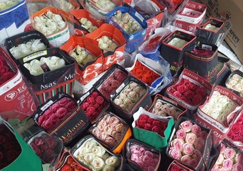 Фото компании  Рынокцветов 4