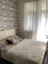 Фото компании ООО Академия Да Винчи 1