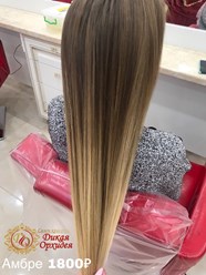 Фото компании  Дикая Орхидея 7
