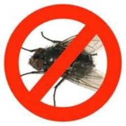 Сезонная борьба с мухами.
Цены договорные, от 1,50 руб за кв.м в месяц