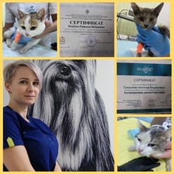 Фото компании ООО Кабинет ветеринарной медицины 7