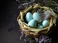 Фото компании ООО Шепиловская птицефабрика 1