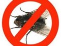 Сезонная борьба с мухами.
Цены договорные, от 1,50 руб за кв.м в месяц