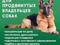 Фото компании  Кинологический центр "Таран" 2