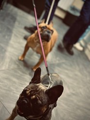 Фото компании ООО Планета 28