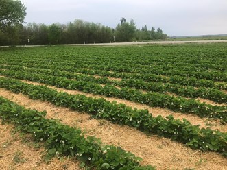 Фото компании ООО Заур и К 25