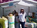 "Льно-Джутовая" Компания уже многие годы пользуется репутацией технологического лидера на Российском рынке нетканых материалов из натуральных волокон.