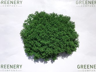 Фото компании  Greenery 8