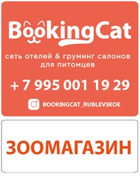 Фото компании ООО BookingCat 2
