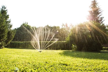 Фото компании  Засека, ресторан 3