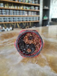 Фото компании  White Star 360 2