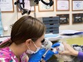 Фото компании  Центр ветеринарной офтальмологии доктора Шилкина А.Г. на ул. Снежная 6