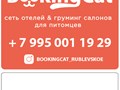 Фото компании ООО BookingCat 2