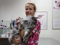 Фото компании  Ветеринарный врач Безобразова Анна 1