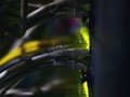 Фото компании  Дом.ru Бизнес 1
