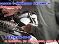 Фото компании ООО БиБиАвто 5