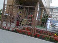 Фото компании  БАРБАРИС, ресторан 3
