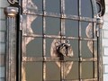 металлические защитные ставни на окна