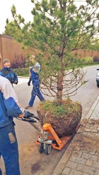 Фото компании  Ландшафтный дизайн Московской области | Home Green Garden 4