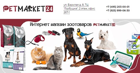 petmarket24.ru