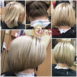 Фото компании  Дикая Орхидея 9
