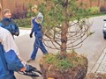 Фото компании  Ландшафтный дизайн Московской области | Home Green Garden 4