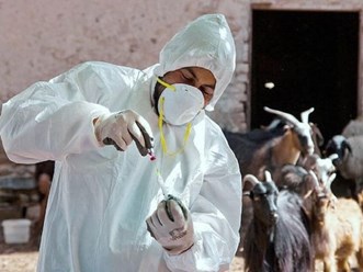 Фото компании  Dez Service Туапсе 6