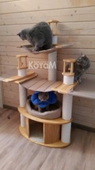 Фото компании  Мебель для кошек КотаМ 13