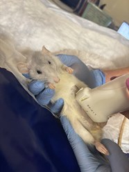 Фото компании ООО Веда 5