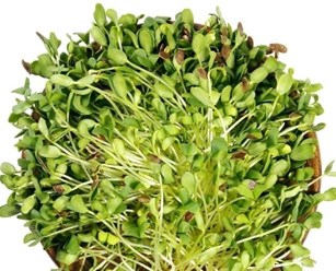 Фото компании ООО Green № 1 2