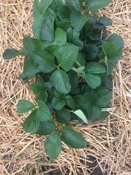 Фото компании ООО Заур и К 9