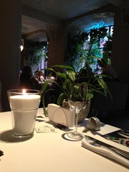 Фото компании  The сад 88