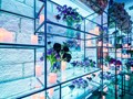 Фото компании  Эфтелия 2