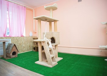 Игровая комната