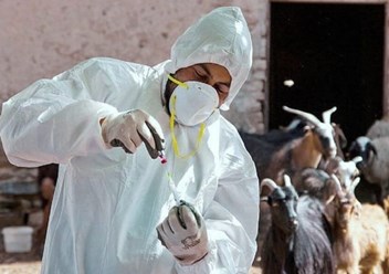 Фото компании  Dez Service Туапсе 6