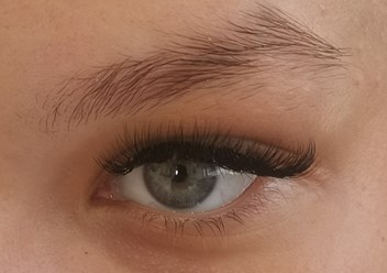 Фото компании  Студия свободы 4