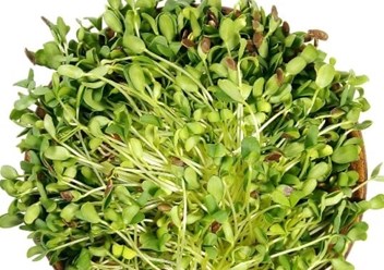 Фото компании ООО Green № 1 2