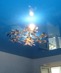 Фото компании  Феникс+ 1